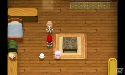 3DS「牧場物語 ふたごの村＋」にて「はなかっぱ」「ピスケ＆うさぎ」「バケツでごはん」とのコラボレーションDLCが配信決定！の画像7