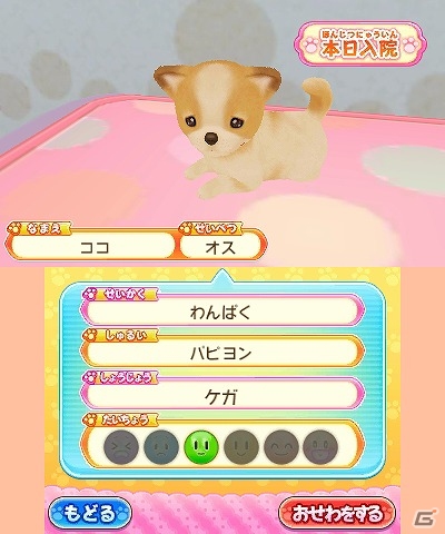 シリーズ初となる男の子主人公も選択可能！3DS「わんニャンどうぶつ病院 ペットのお医者さんになろう！」が3月15日に発売の画像2