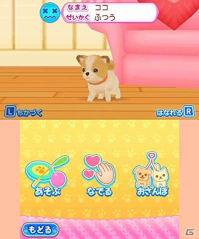 シリーズ初となる男の子主人公も選択可能！3DS「わんニャンどうぶつ病院 ペットのお医者さんになろう！」が3月15日に発売の画像3