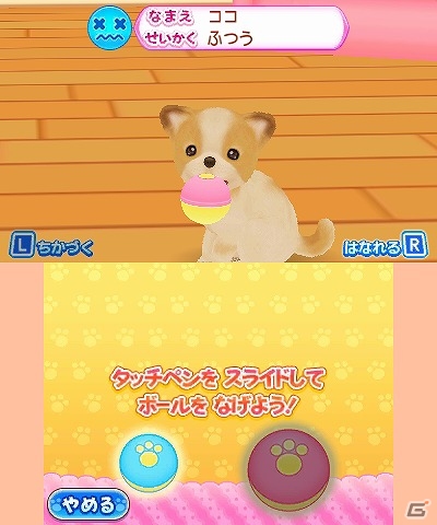 シリーズ初となる男の子主人公も選択可能！3DS「わんニャンどうぶつ病院 ペットのお医者さんになろう！」が3月15日に発売の画像4