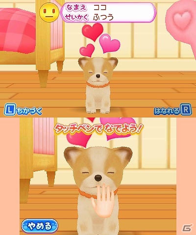 シリーズ初となる男の子主人公も選択可能！3DS「わんニャンどうぶつ病院 ペットのお医者さんになろう！」が3月15日に発売の画像5