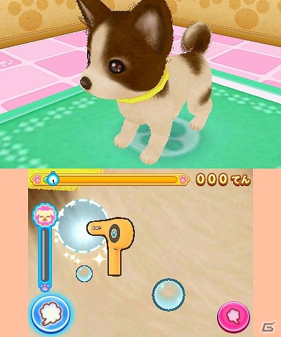 シリーズ初となる男の子主人公も選択可能！3DS「わんニャンどうぶつ病院 ペットのお医者さんになろう！」が3月15日に発売の画像6