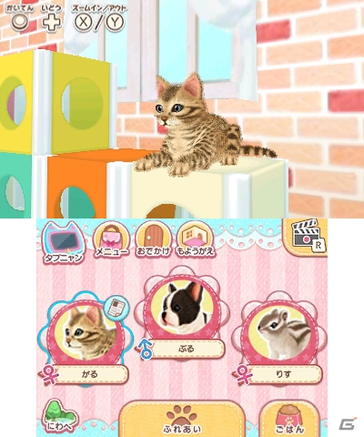 3DS「かわいいペットとくらそう！わんニャン＆アイドルアニマル」が2018年4月5日に発売決定！の画像11
