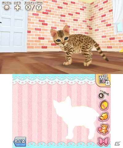3DS「かわいいペットとくらそう！わんニャン＆アイドルアニマル」が2018年4月5日に発売決定！の画像14