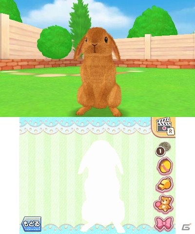 3DS「かわいいペットとくらそう！わんニャン＆アイドルアニマル」が2018年4月5日に発売決定！の画像17