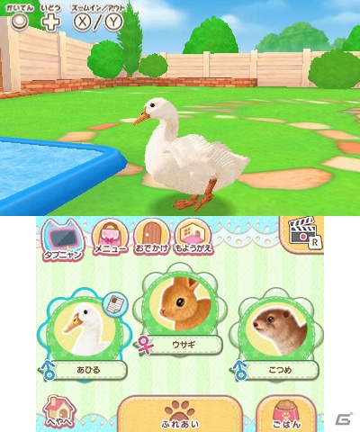 3DS「かわいいペットとくらそう！わんニャン＆アイドルアニマル」が2018年4月5日に発売決定！の画像19