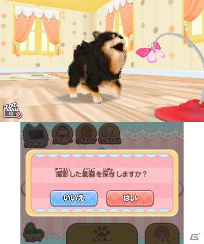 3DS「かわいいペットとくらそう！わんニャン＆アイドルアニマル」が2018年4月5日に発売決定！の画像2