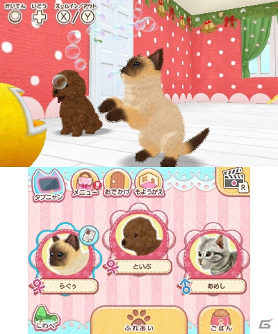 3DS「かわいいペットとくらそう！わんニャン＆アイドルアニマル」が2018年4月5日に発売決定！の画像3