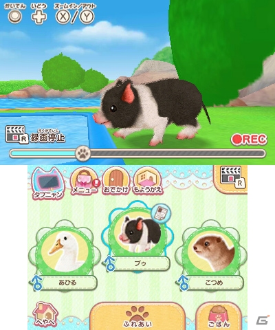 3DS「かわいいペットとくらそう！わんニャン＆アイドルアニマル」が2018年4月5日に発売決定！の画像4