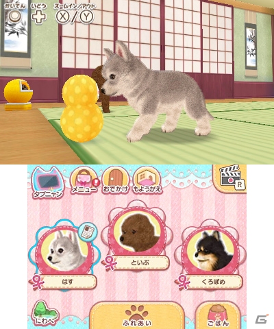 3DS「かわいいペットとくらそう！わんニャン＆アイドルアニマル」が2018年4月5日に発売決定！の画像6