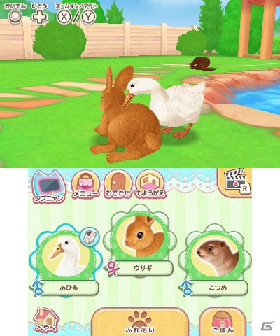 3DS「かわいいペットとくらそう！わんニャン＆アイドルアニマル」が2018年4月5日に発売決定！の画像7
