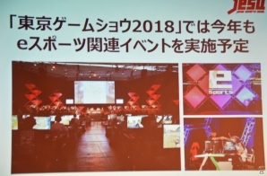 プロライセンス発行の条件やライセンス付与タイトルが明らかに―新団体「日本eスポーツ連合」設立発表会をレポートの画像16