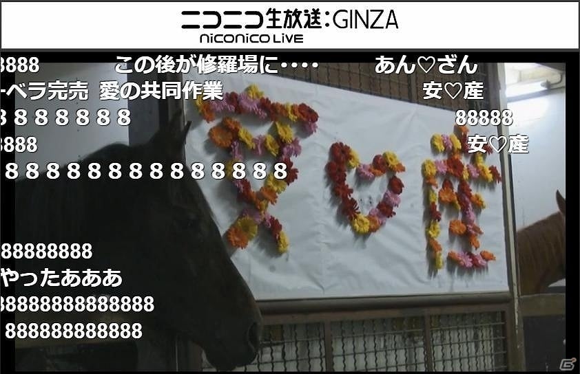 「リアルダービースタリオン」サラブレッドの出産の様子＆仔馬の誕生の瞬間を生中継！の画像3