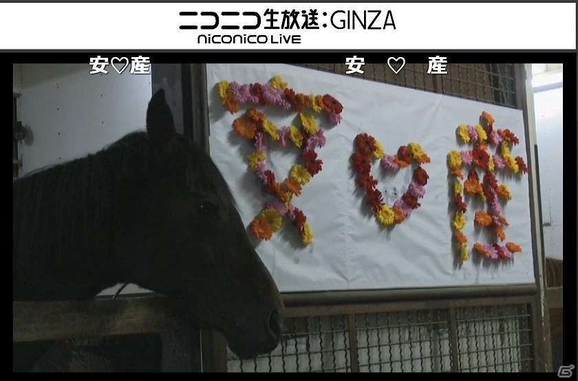 「リアルダービースタリオン」サラブレッドの出産の様子＆仔馬の誕生の瞬間を生中継！の画像5