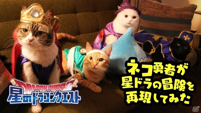 「星のドラゴンクエスト」かわいい“ネコ勇者”たちがドラゴンクエストの世界を大冒険！WEBムービー「猫の⽇【星ドラ】ネコ勇者たちが冒険してみた」が公開の画像1