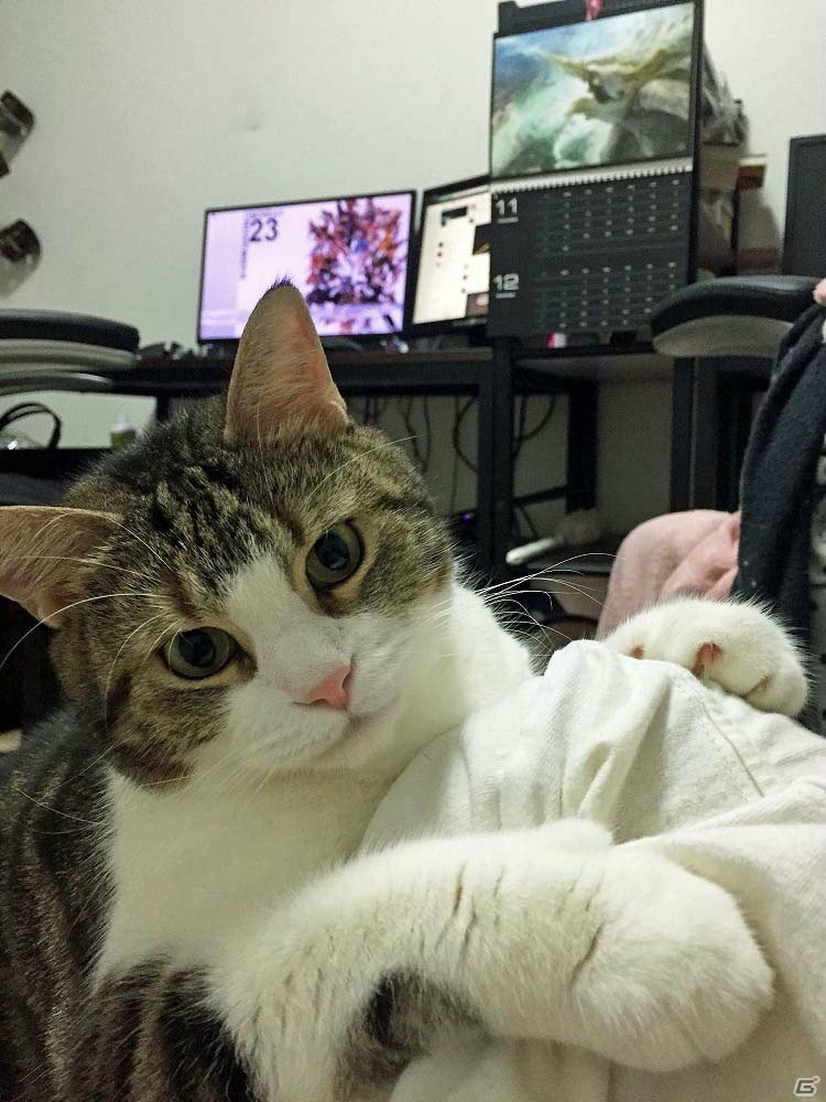 猫の話をするとしよう―編集部通信（2018年2月24日号）の画像4