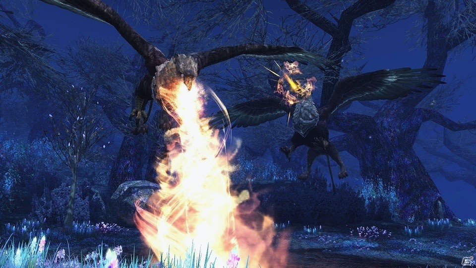 「ファンタシースターオンライン2」通常クラスのレベル上限が開放！フリーフィールド「幻惑の森探索」には新たな★14武器が登場の画像84