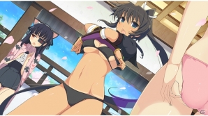 「シノビマスター 閃乱カグラ NEW LINK」忍転身できる両備と両奈が入手できる「忍転身ガチャ」が開始！の画像11