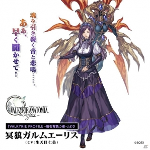「VALKYRIE ANATOMIA -THE ORIGIN-」ラジオ番組「ヴァルキリーラジオアナトミア」に生天目仁美さんがゲスト出演！の画像2