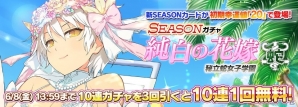 「シノビマスター 閃乱カグラ NEW LINK」総勢28人のシノビ少女達がウェディング衣装で順次登場！初のキャラクター人気投票「ブライダル総選挙」もの画像8
