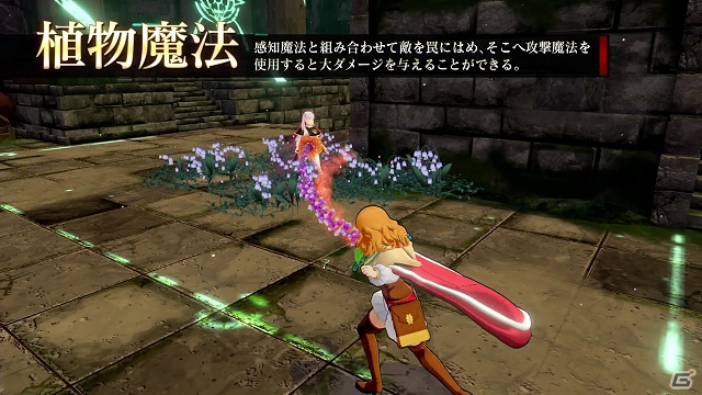 「ブラッククローバー カルテットナイツ」植物魔法駆使するヒーラー「ミモザ」のキャラクターPVが公開！の画像5