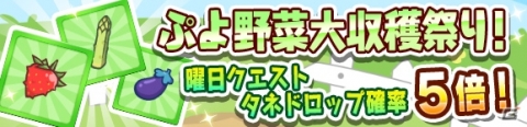 「ぷよぷよ!!クエスト」夏のラフィーナやラグナスが登場する「とことん夏ぷよ！キャンペーン」が開催！の画像7