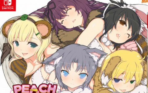 閃乱カグラがセクシーピンボールになってSwitchに登場！「PEACH BALL 閃乱カグラ」が12月13日に発売