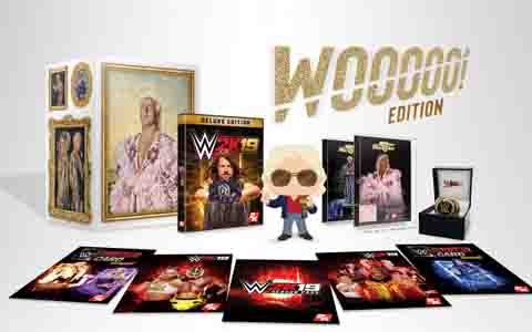 「WWE 2K19」PS4パッケージ版の予約受付が全国のゲオショップにて開始！