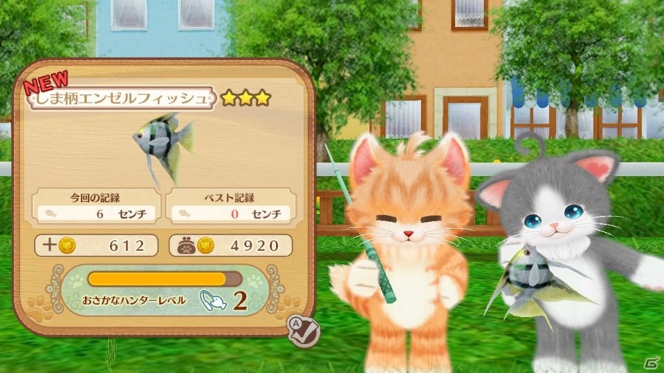 Switch/3DS「ネコ・トモ」ネコ達と一緒に楽しむ「ネコ活」ゲームの内容を紹介！の画像22
