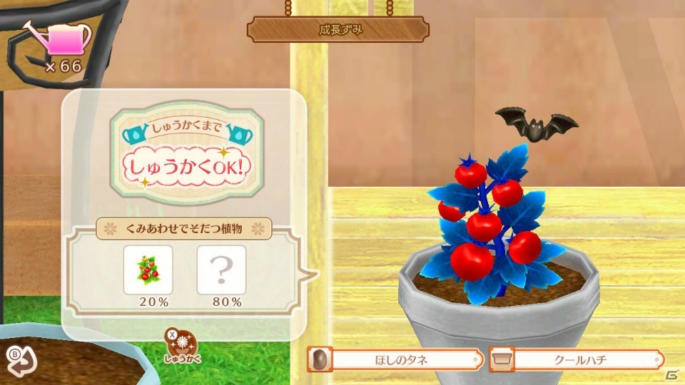 Switch/3DS「ネコ・トモ」ネコ達と一緒に楽しむ「ネコ活」ゲームの内容を紹介！の画像31