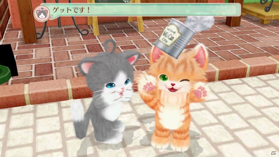 Switch/3DS「ネコ・トモ」ネコ達と一緒に楽しむ「ネコ活」ゲームの内容を紹介！の画像4