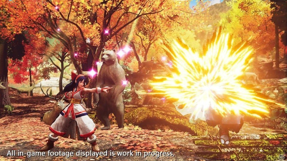 剣戟格闘ゲーム「サムライスピリッツ」シリーズ最新作「SAMURAI SPIRITS」が2019年に発売！の画像8