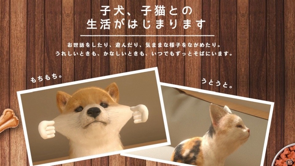 リラックマのコスチュームも登場！「LITTLE FRIENDS -DOGS＆CATS-」の公式サイトが公開！の画像1