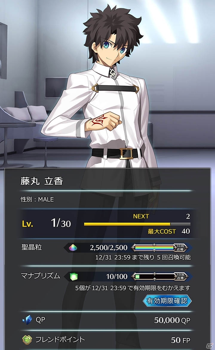 「Fate/Grand Order Arcade」11月29日から初のマスター協力型イベント「制圧戦」が開催！の画像17