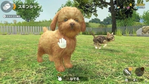 「LITTLE FRIENDS -DOGS＆CATS-」PVが公開！あらかじめダウンロードもスタートの画像2