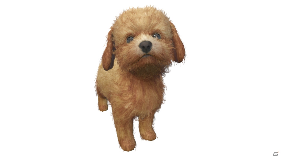 「LITTLE FRIENDS -DOGS＆CATS-」PVが公開！あらかじめダウンロードもスタートの画像14