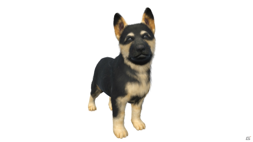 「LITTLE FRIENDS -DOGS＆CATS-」PVが公開！あらかじめダウンロードもスタートの画像15