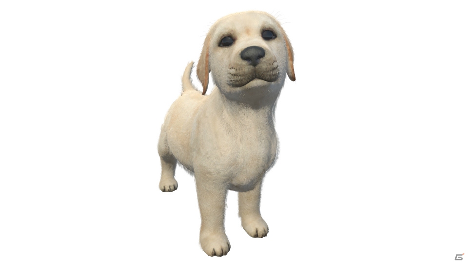 「LITTLE FRIENDS -DOGS＆CATS-」PVが公開！あらかじめダウンロードもスタートの画像16