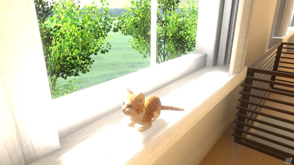 「LITTLE FRIENDS -DOGS＆CATS-」PVが公開！あらかじめダウンロードもスタートの画像5