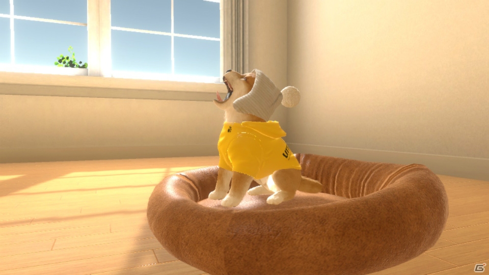 「LITTLE FRIENDS -DOGS＆CATS-」PVが公開！あらかじめダウンロードもスタートの画像6