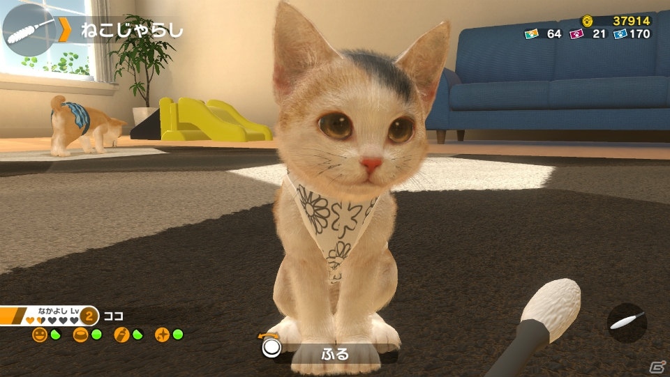 「LITTLE FRIENDS -DOGS＆CATS-」PVが公開！あらかじめダウンロードもスタートの画像9