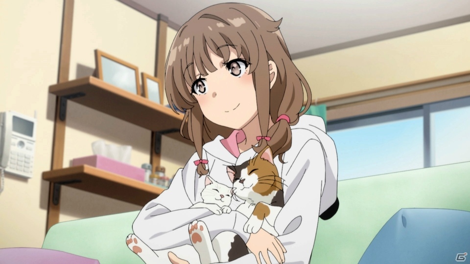 【年末企画】ゲーム関係ないけれど「青春ブタ野郎はバニーガール先輩の夢を見ない」の魅力を伝えたい！の画像3