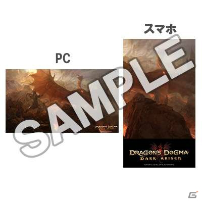 switch ドラゴンズドグマ：ダークアリズン コレクターズ・パッケージ ドラゴンズドグマ：ダークアリズン コレクターズ・パッケージ 【Switch