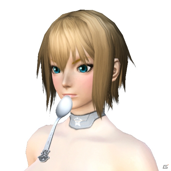 「ファンタシースターオンライン2」ヴィレッジヴァンガードにてアイテムコード付きのコラボグッズが発売決定！の画像11