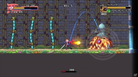 下手でもソロを貫いてもいいですか？「Dragon Marked For Death」ゲームコレクターインプレッションの画像43