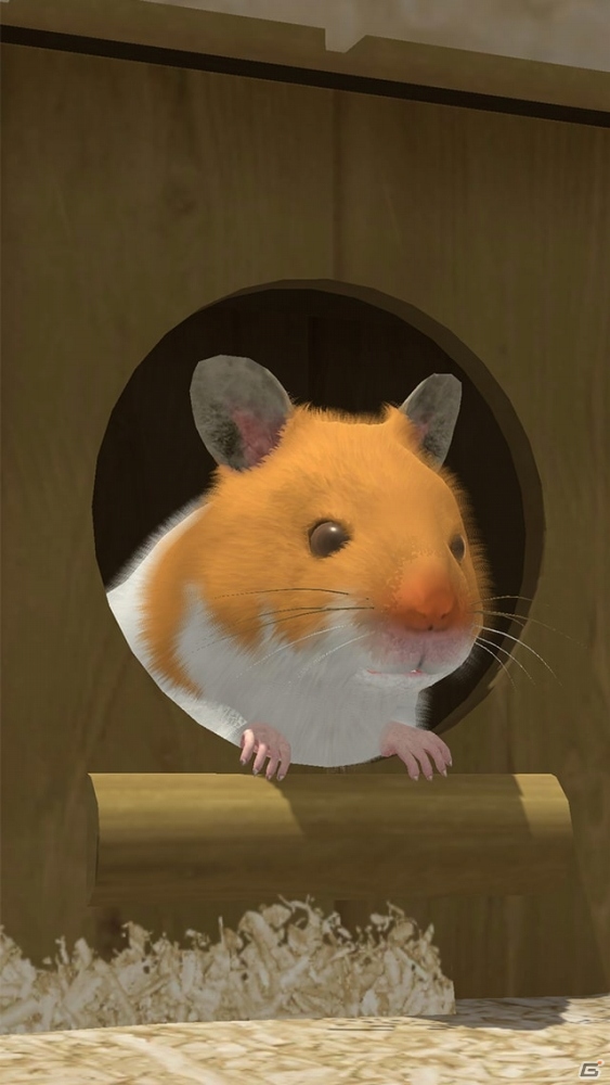 「なまはむ」事前登録受付が開始！3Dグラフィックで再現されたリアルなハムスターを飼育しようの画像2