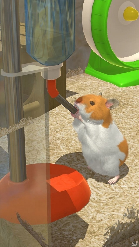 「なまはむ」事前登録受付が開始！3Dグラフィックで再現されたリアルなハムスターを飼育しようの画像3
