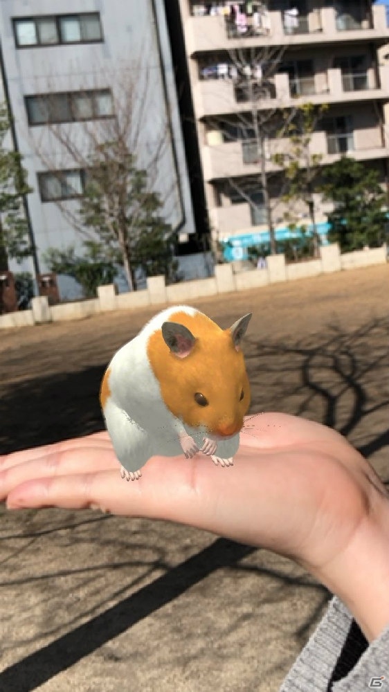 リアルなハムスターとの生活を楽しむ飼育アプリ「なまはむ」の正式サービスが開始！の画像6