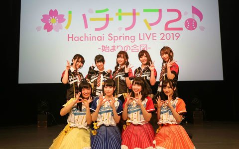 ハチナイのLIVEイベント「ハチサマ2 Hachinai Spring Live 2019 ～始まりの合図～」オフィシャルレポートが到着！