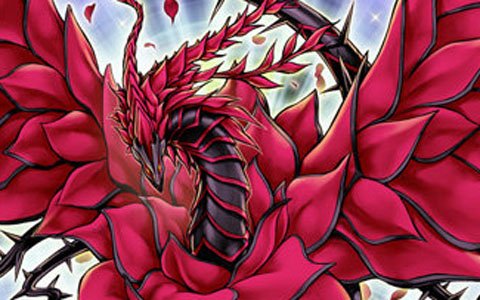 新種族「幻竜族」登場！「遊戯王 デュエルリンクス」に新BOX「ブレイジング・ローズ」が追加